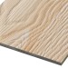 Фиброцементные панели FCSPRO Decor Wood Лиственница купить в Минеральных Водах