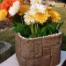 Цветник КАНЬОН купить в Минеральных Водах